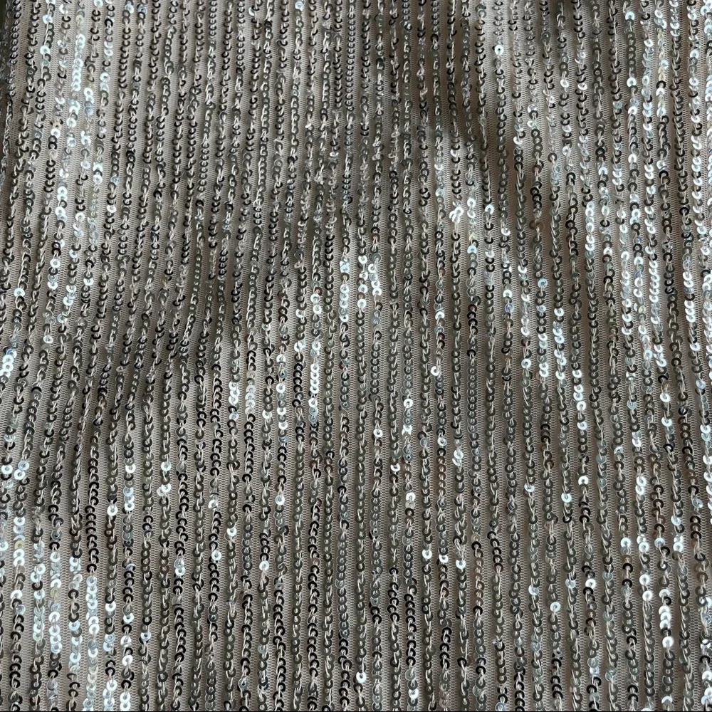 Loft 0 Silver Shiny Skirt MIDI Zip Back - Picture 4 of 4